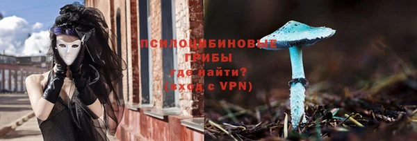 МДМА Богородицк