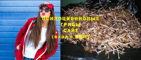 кокаин колумбия Богданович