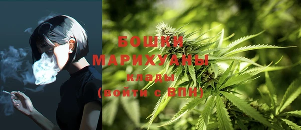 МДМА Богородицк